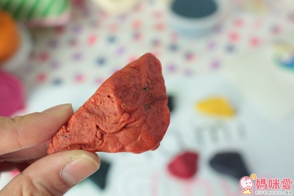 美國 Eco-Kids 美國小朋友天然蠟石