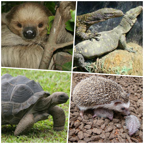 新竹縣北埔鄉的「綠世界生態農場」