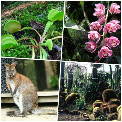 新竹縣北埔鄉的「綠世界生態農場」