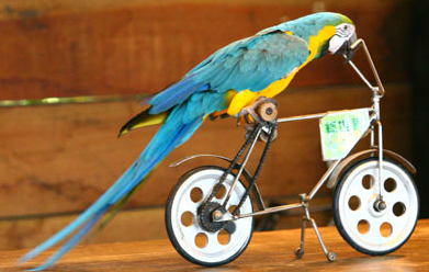 新竹縣北埔鄉的「綠世界生態農場」