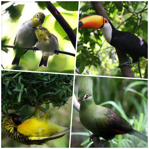 新竹縣北埔鄉的「綠世界生態農場」