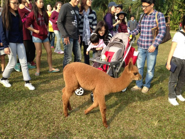 新竹縣北埔鄉的「綠世界生態農場」
