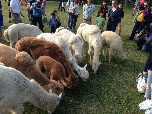 新竹縣北埔鄉的「綠世界生態農場」