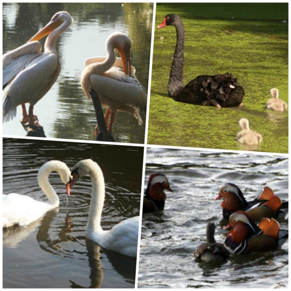 新竹縣北埔鄉的「綠世界生態農場」