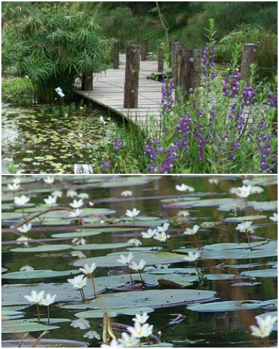 新竹縣北埔鄉的「綠世界生態農場」