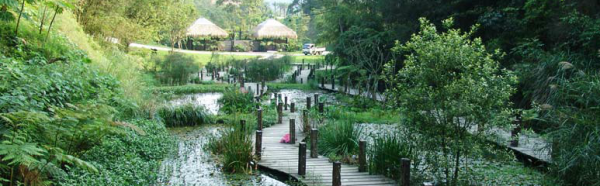 新竹縣北埔鄉的「綠世界生態農場」