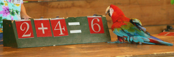 新竹縣北埔鄉的「綠世界生態農場」