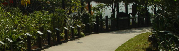 大人小孩都放電 ϟ【綠世界農場、高雄義大遊樂世界】門票