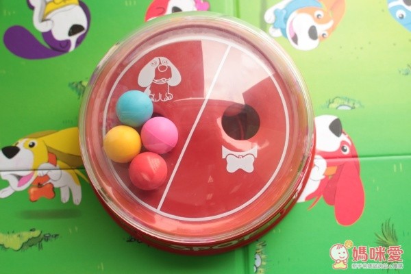 Ready, Set, WOOF! 尋找汪汪