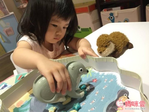 Sophie’s Seashell Scramble Game小蘇菲找貝殼