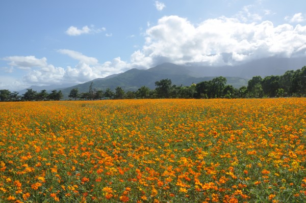 花蓮【新光兆豐休閒農場】
