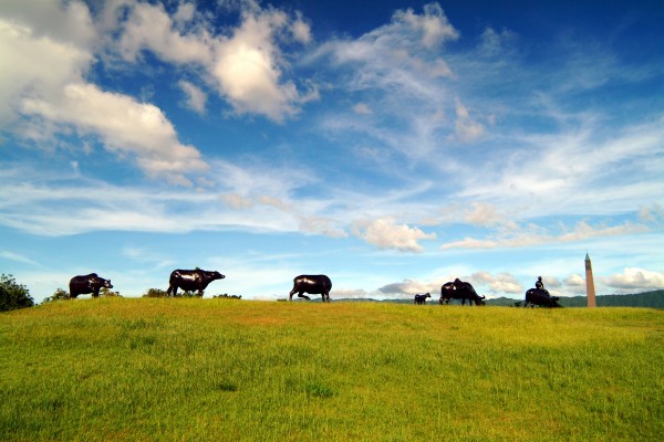 花蓮【新光兆豐休閒農場】