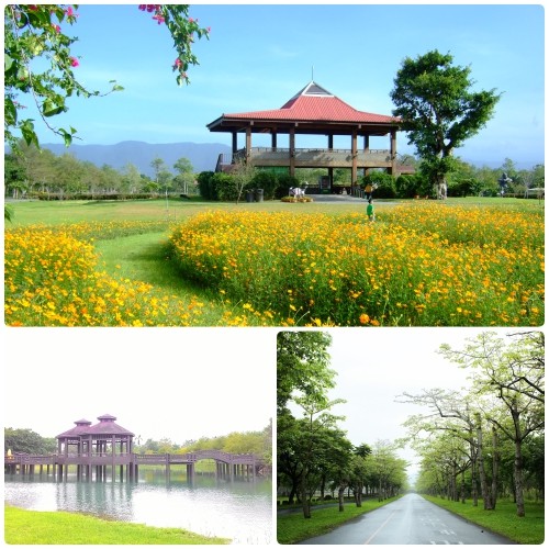 花蓮【新光兆豐休閒農場】