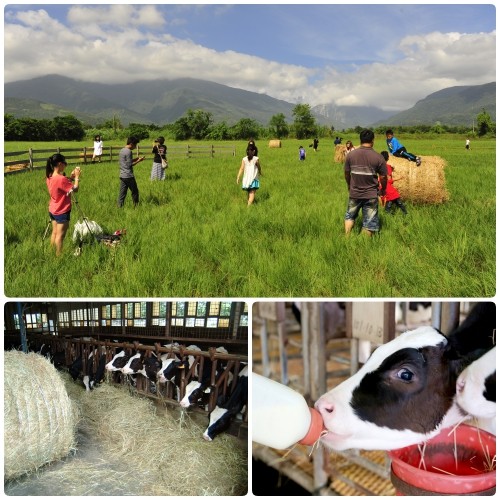 花蓮【新光兆豐休閒農場】