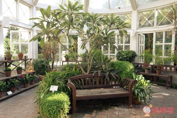 花蓮的遠雄悅來大飯店