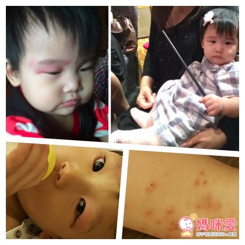 韓國 dashop 防蚊窗簾