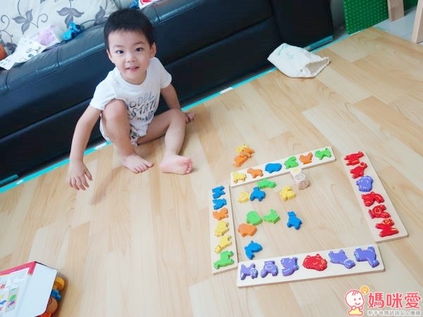 GoGo Toys 動物趴配對積木