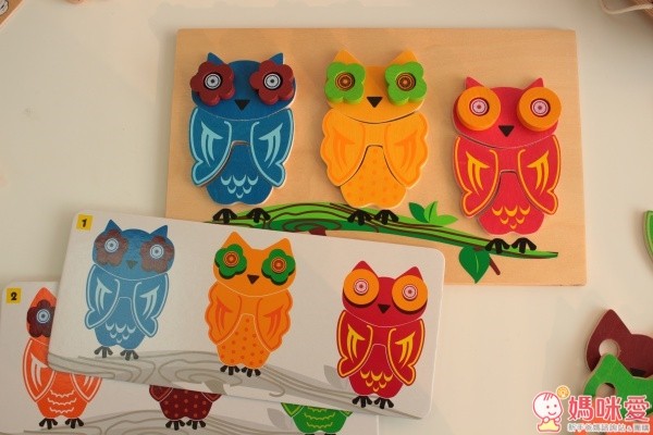 GoGo Toys 貓頭鷹配對