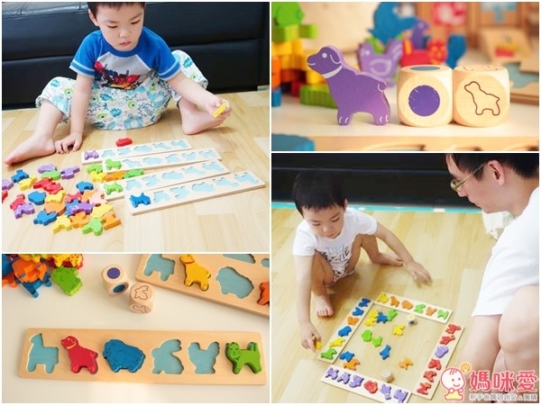 GoGo Toys 動物趴配對積木