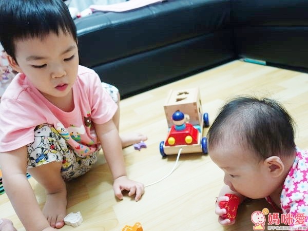 GoGo Toys 動物分類拖車