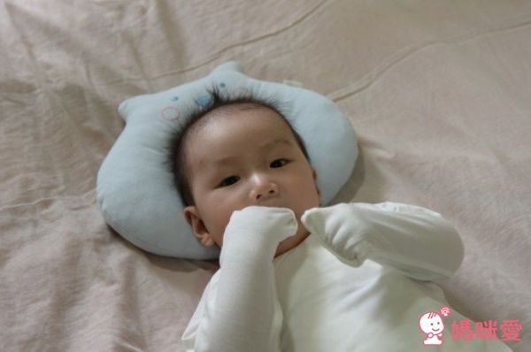 Edenswear 伊登詩 MIT 鋅健康抗敏系列 ✕ 海藻 Seacell 機能保濕系列