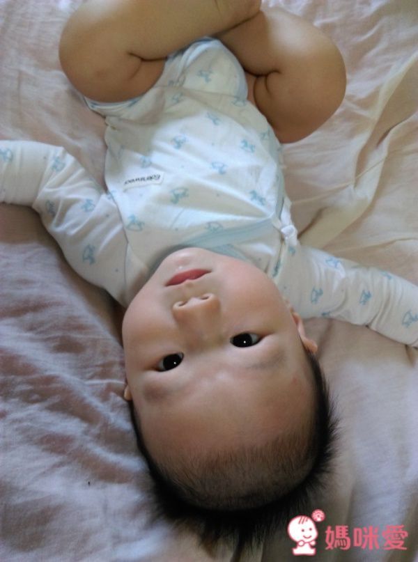 Edenswear 伊登詩 MIT 鋅健康抗敏系列 ✕ 海藻 Seacell 機能保濕系列