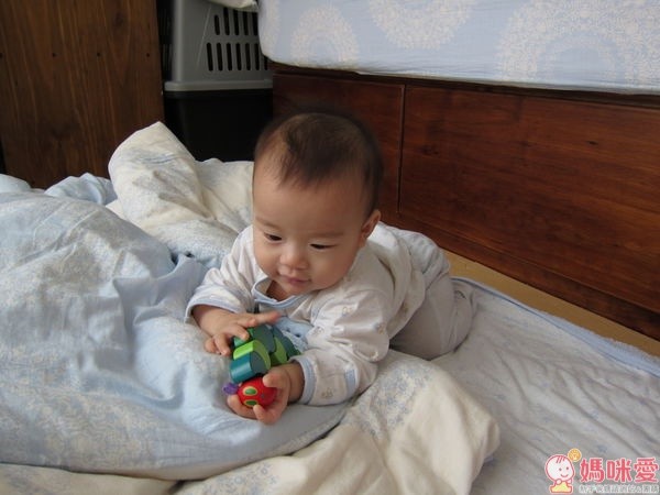 好餓的毛毛蟲 安撫玩具