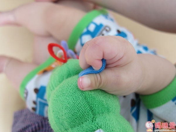 好餓的毛毛蟲 安撫玩具