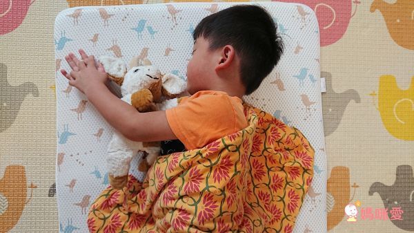 3D AIRMESH Happy Birds 寶寶透氣床墊組(送透氣嬰兒定型枕)