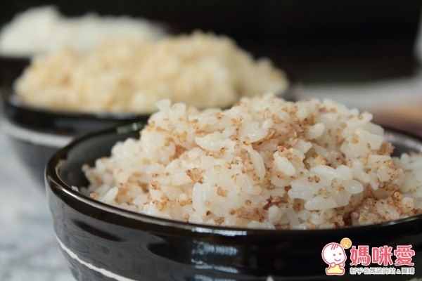 【Let's Saga】藜麥 / 莧籽