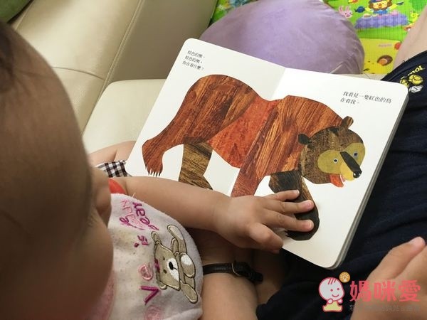 信誼閱讀起步走 - BOOKSTART 系列套書 6 本(贈洞洞 IN & OUT)