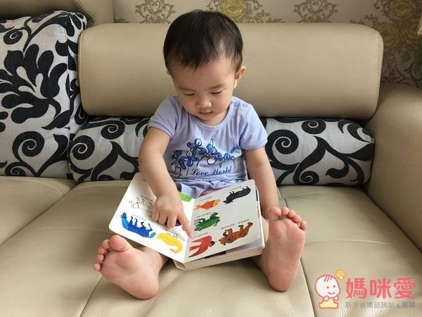信誼閱讀起步走 - BOOKSTART 系列套書 6 本(贈洞洞 IN & OUT)