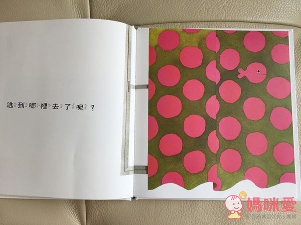 信誼閱讀起步走 - BOOKSTART 系列套書 6 本(贈洞洞 IN & OUT)