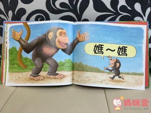 信誼閱讀起步走 - BOOKSTART 系列套書 6 本(贈洞洞 IN & OUT)