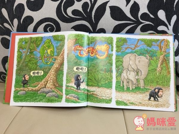 信誼閱讀起步走 - BOOKSTART 系列套書 6 本(贈洞洞 IN & OUT)