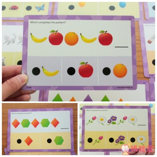 ★ Hot Dots 雙面彩色圖卡系列（點讀筆需加購）