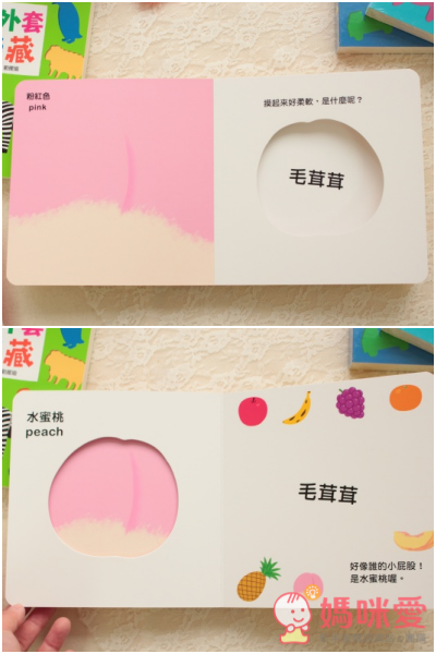 認知洞洞繪本 - 來玩捉迷藏