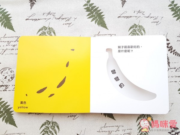 認知洞洞繪本 - 來玩捉迷藏