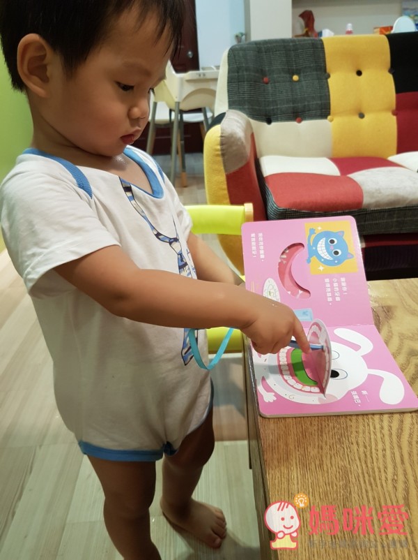 小魯低幼硬紙書