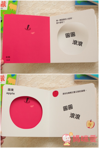 認知洞洞繪本 - 來玩捉迷藏