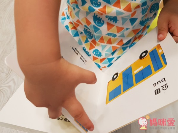 認知洞洞繪本 - 來玩捉迷藏