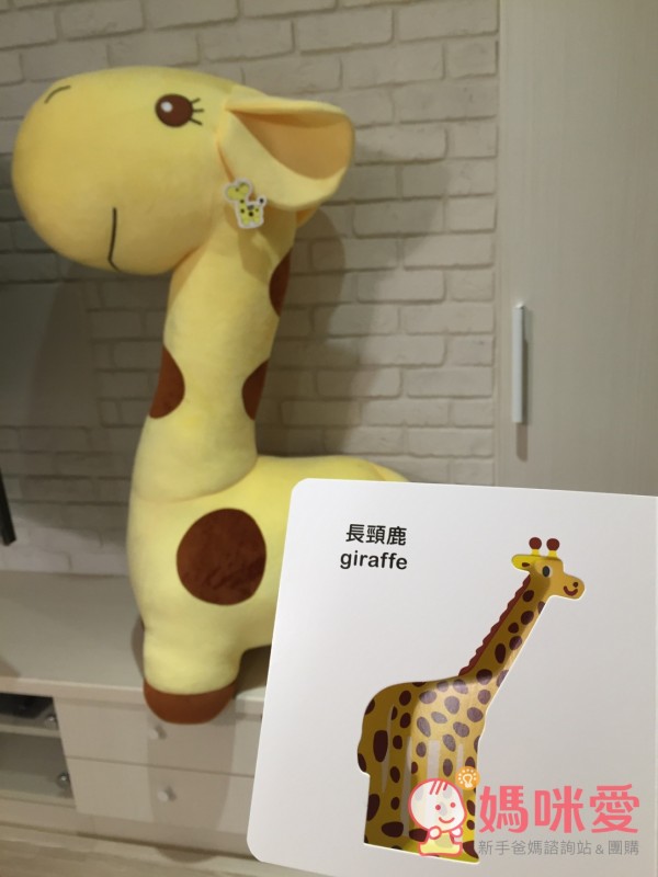 認知洞洞繪本 - 來玩捉迷藏