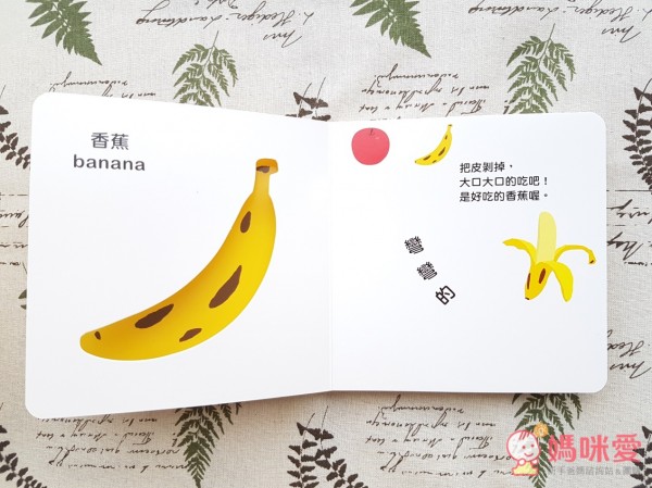 認知洞洞繪本 - 來玩捉迷藏