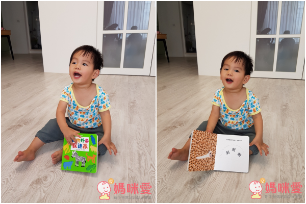 認知洞洞繪本 - 來玩捉迷藏