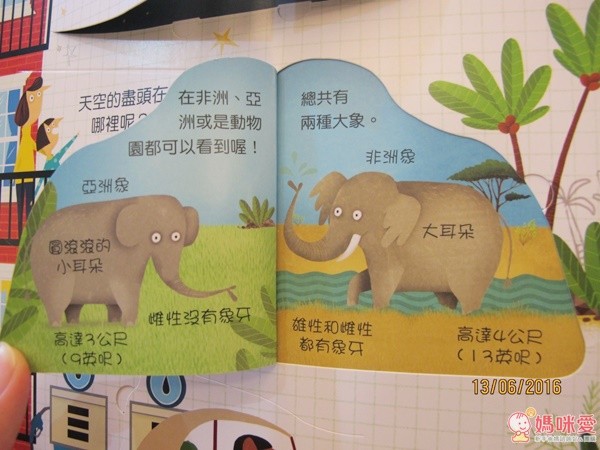 ✿不可思議世界之旅Q&A