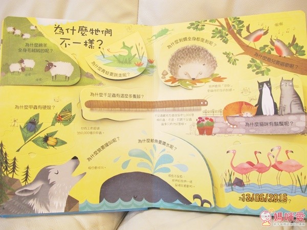 人氣動物驚奇秘密 Q&A