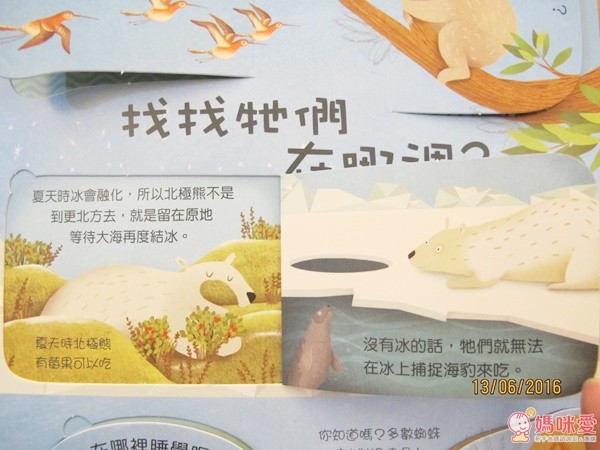 人氣動物驚奇秘密 Q&A