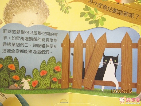 人氣動物驚奇秘密 Q&A