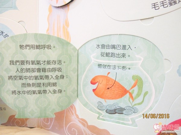 不可思議地球常識Q&A