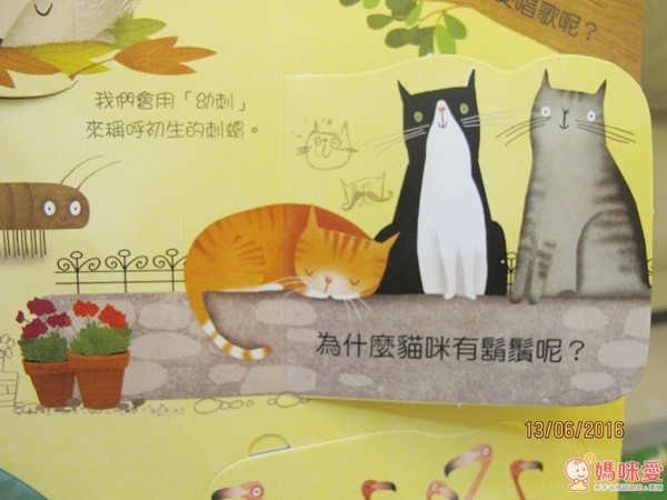 人氣動物驚奇秘密 Q&A